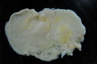 藏品(馬崗偽角扁蟲)的圖片